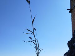 -蟠龙山长城景区