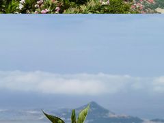 -海上云台山景区