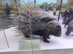 -国家自然博物馆