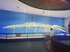 -福州罗源湾海洋世界旅游区