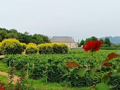 -北京张裕爱斐堡酒庄