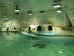 -北戴河圣蓝海洋公园