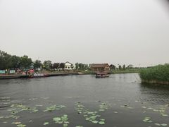 -白洋淀景区