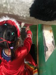 -新方向童乐小镇·儿童主题乐园·职业角色扮演(南昌店)