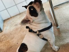 -Burger Bar 山沐西餐吧(钟村店)