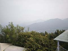 -灵顺寺