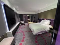 -南京禄口机场雅高铂尔曼大酒店