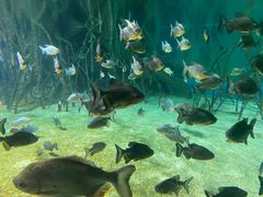 -福州罗源湾海洋世界旅游区
