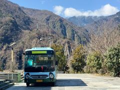 -卧龙中华大熊猫苑神树坪基地