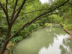-同里国家湿地公园