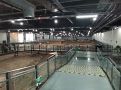 -南越王博物院(王宫展区)