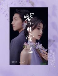 -新奕映像摄影机构