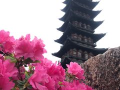 -上海方塔园