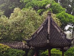 -上海醉白池公园