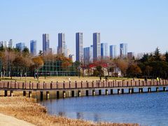-渤公岛生态公园