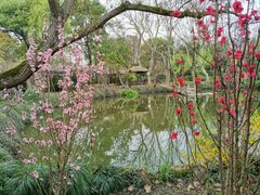 -上海醉白池公园