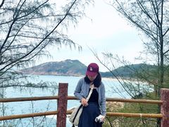 -广东惠东海龟国家级自然保护区