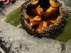 海胆刺身-渡鲑亭(东二环泰禾广场店)