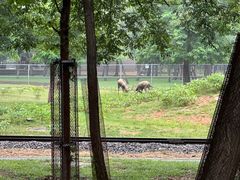 -秦皇岛野生动物园