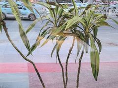 -邵汇大虾火锅(鲁迅路店)