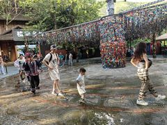 -西双版纳原始森林公园