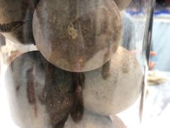 -成都你六姐·牛肉冒菜·麻辣香锅(长泰广场店)