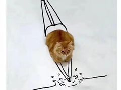 -猫咪咖啡·猫咖(万达广场店)
