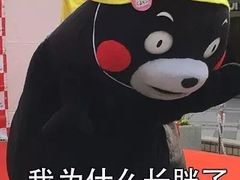 -玫瑰红烤羊排(北新桥三条店)