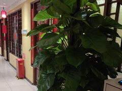 -西贝(六里桥旗舰店)