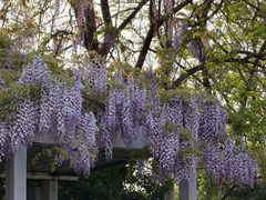 -烟台山景区