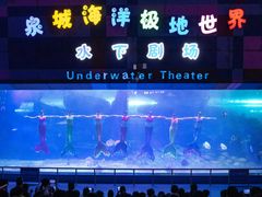 -泉城欧乐堡海洋极地世界