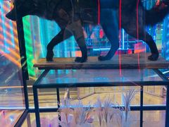 -凯德广场(武胜路店)