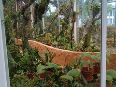 -国家植物园南园