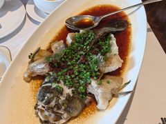 -南麓·浙里(外滩店)