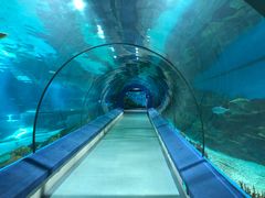 -福州罗源湾海洋世界旅游区