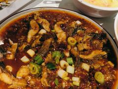 -巴特餐饮6加1音乐餐吧·新疆菜
