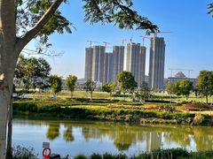 -光明小镇欢乐田园
