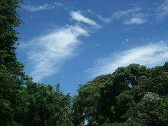 -悉尼歌剧院