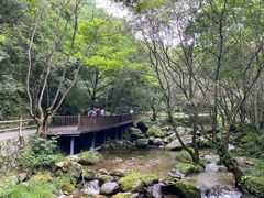 -牛背梁国家森林公园