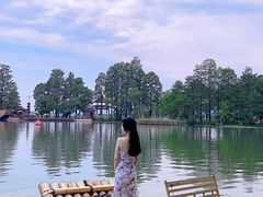 -东湖落雁景区