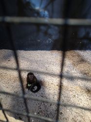 -酷嗒动物文化乐园(cutezoo西溪乐天城店)