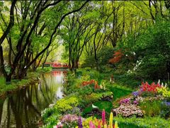 -上海共青森林公园