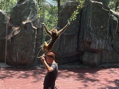 -石燕湖生态旅游景区