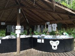 -关西瀑布