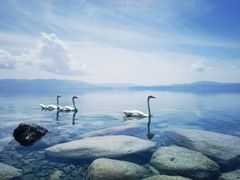 -赛里木湖风景名胜区