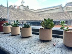 -YLK云南小粒咖啡·云里咖(二号店)