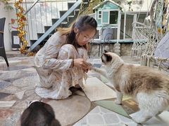 -喵屿·大理花园猫咖
