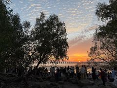 -宝安西湾红树林湿地公园