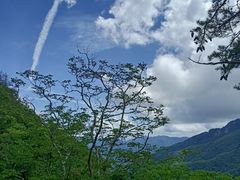 -牛背梁国家森林公园