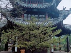 -台州府城(东湖)